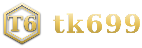 tk699 logo